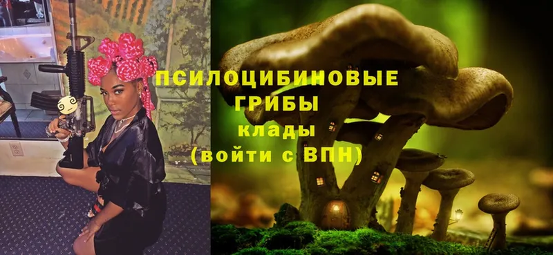 Псилоцибиновые грибы Magic Shrooms  Выкса 